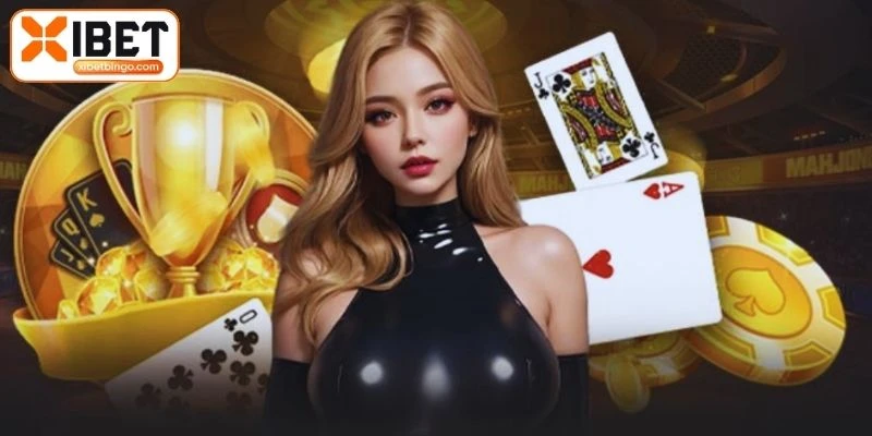 Nhà cung cấp sở hữu bộ sưu tập sản phẩm đỉnh cao